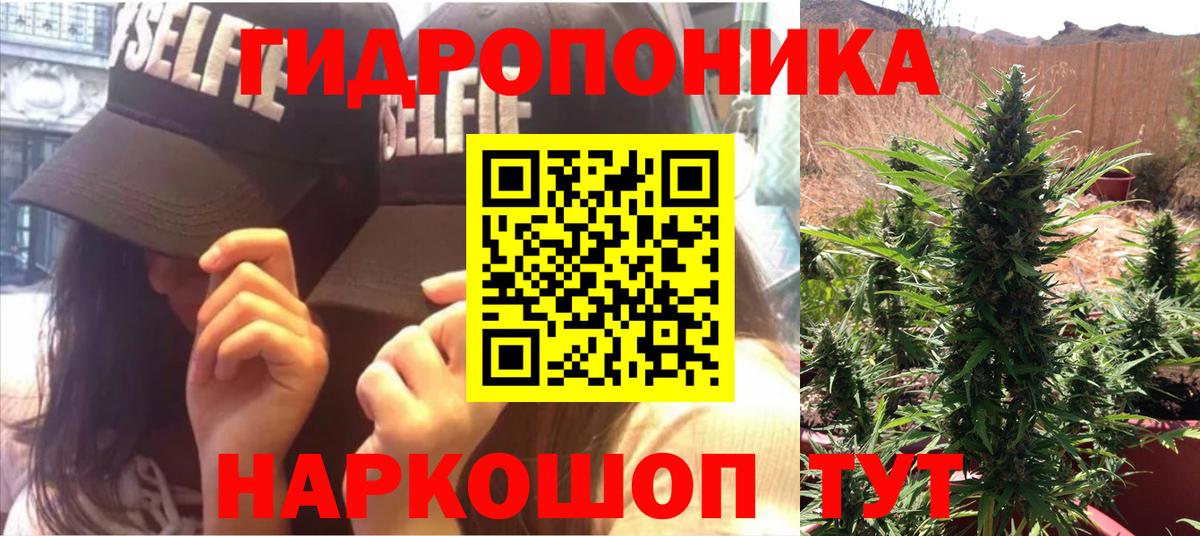 Конопля White Widow  Волгодонск  Бошки марихуана сатива  Конопля VHQ 